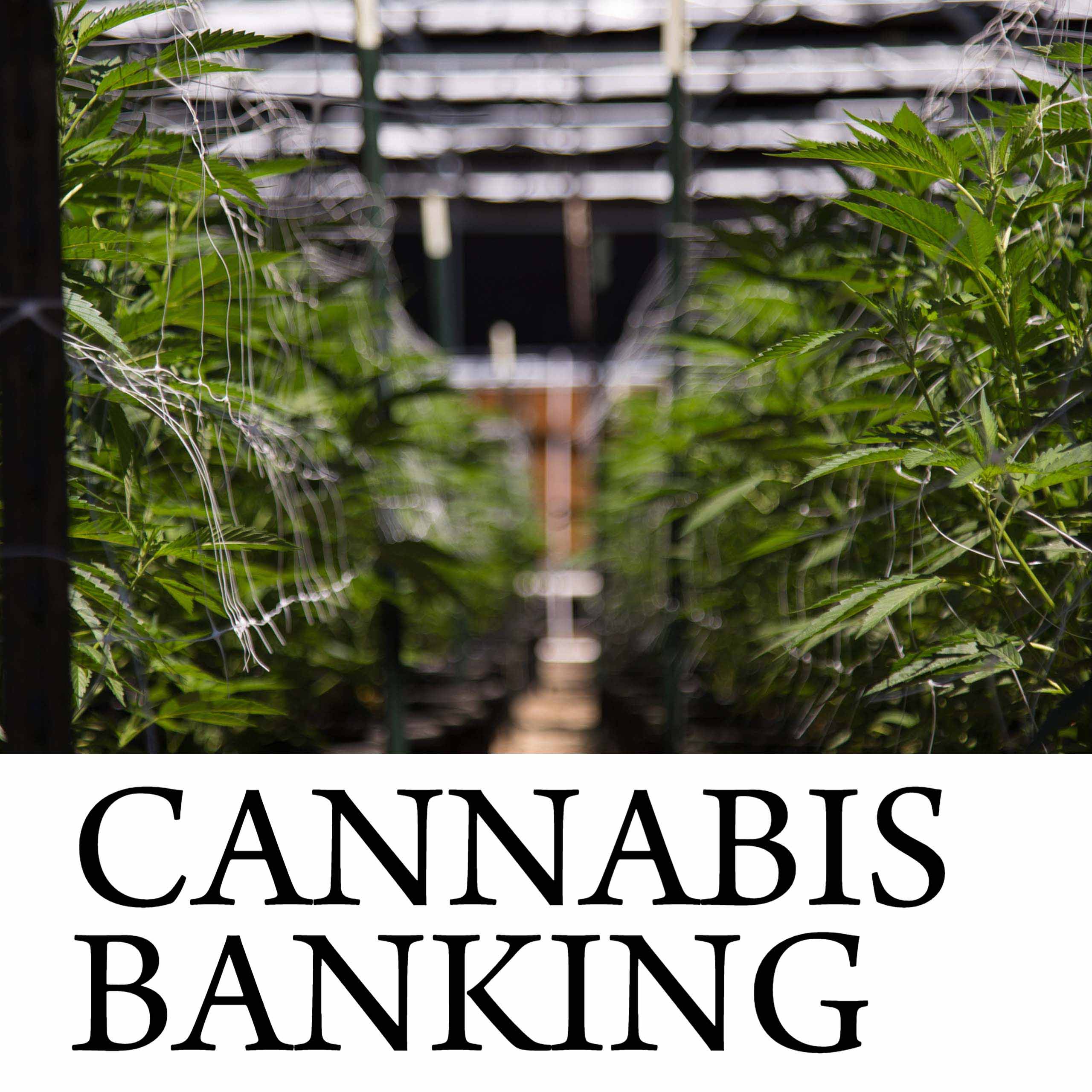 2023- Cannabis Banking Home Page Icon