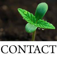 2023 Cannabis Contact Icon